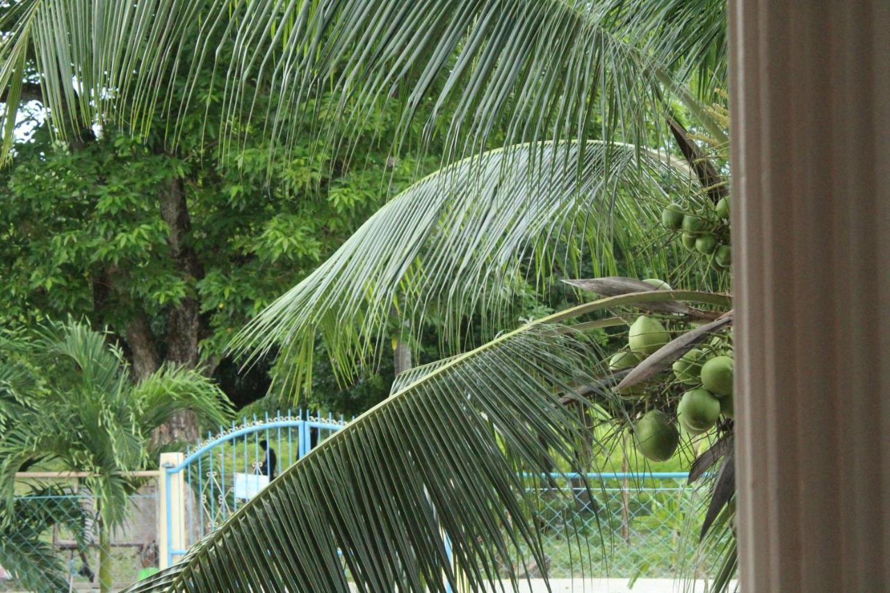 Maya Guest House - Sipaway Island San Carlos (Negros Occidental) Exterior foto